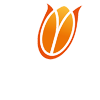 Netherlands